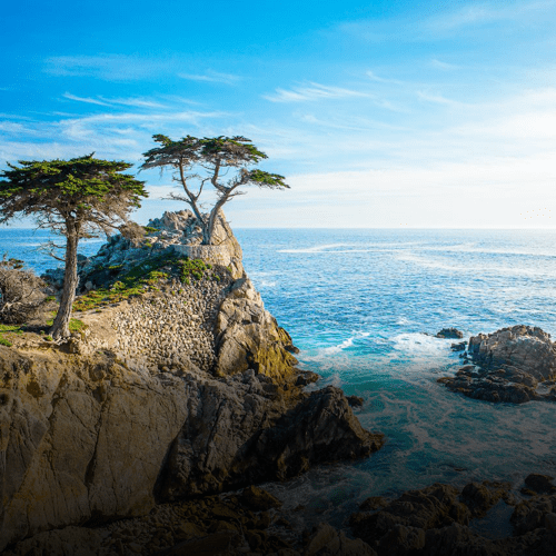 2019: A Mission In Monterey for the fourth annual GCVI Summit