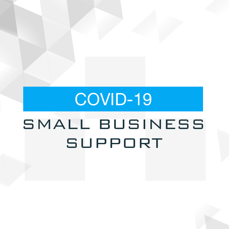 AI Dynamics Supports Small Businesses Across Washington and the World