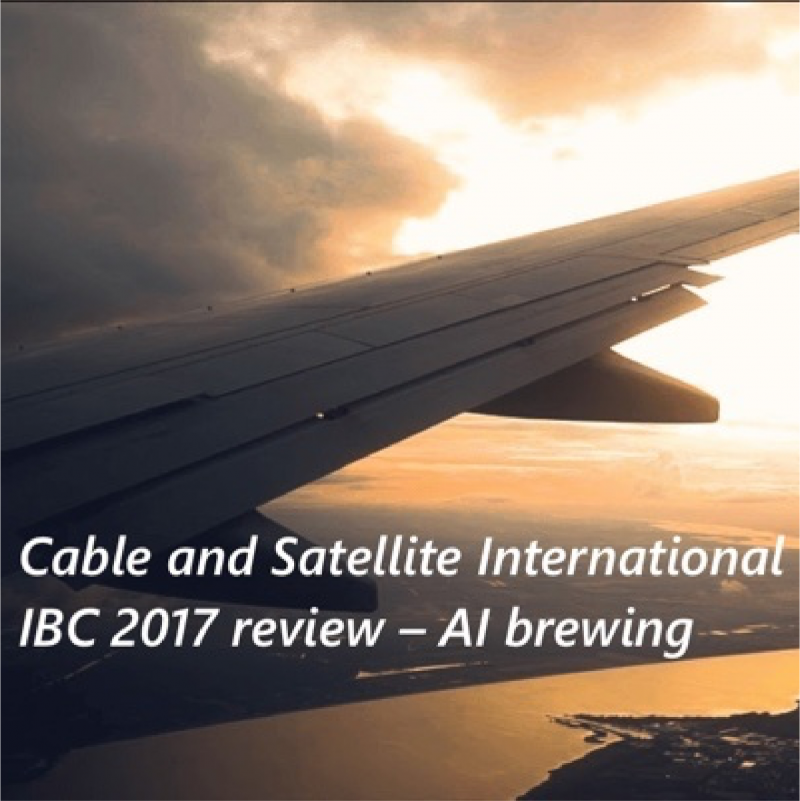 IBC Article: DM in CSI Feature on AI